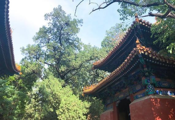 北京十大胡同，你都去过哪几个？哪个胡同最得你心？