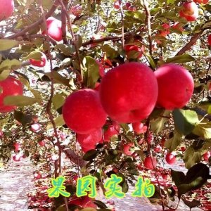 ​微商群，无形的监狱，灵魂的枷锁