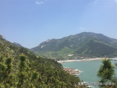 ​遭遇22个跌停的龙力生物投资者可索赔 保荐人审计机构恐担责