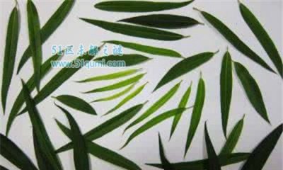 ​揭秘十种启天眼的方式：除了牛眼泪还有什么方式?