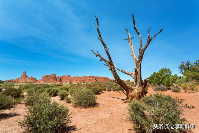 河北省平乡县都有哪些乡镇（河北省邢台市平乡县各村镇历史沿革与来历）(6)