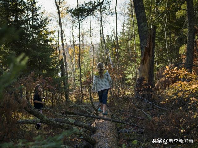 河北省平乡县都有哪些乡镇（河北省邢台市平乡县各村镇历史沿革与来历）(2)