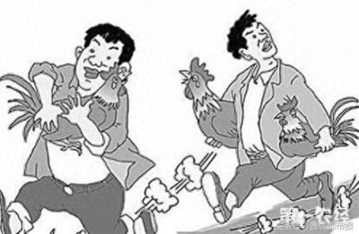 ​半夜鸡叫咋回事？原是遇到偷鸡贼
