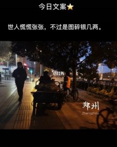 ​世人慌慌张张不过碎银几两的意思（出自哪）