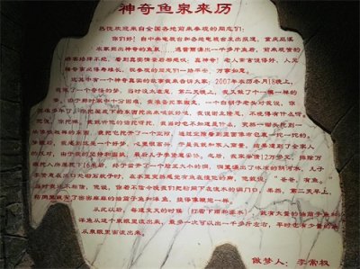 ​重庆农户家挖出神奇鱼泉，源源不断涌出上百斤鱼，吸引无数游客