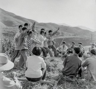 ​二叔说村口老槐树克他儿子非要砍掉它 奶奶从箱底翻出张泛黄的报纸