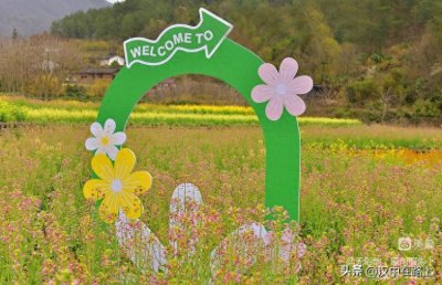 ​留坝马道东沟——与众不同的彩色油菜花海！