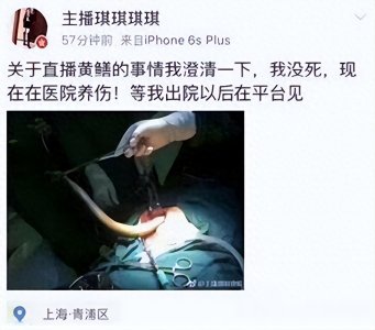 ​“黄鳝门”事件曝光，警方严查淫秽直播平台