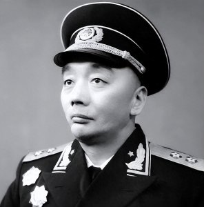 ​对越反击战我军万炮齐发，刘昌毅怒斥：净放空炮，你们领导该撤职