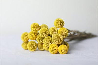 ​男人说“想你了”，这么回答，会让他荷尔蒙飙升