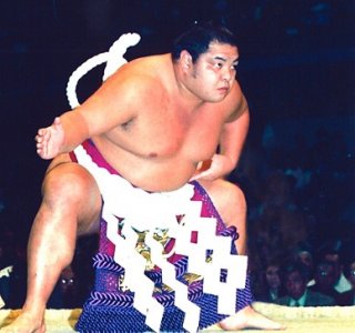 ​日本大相扑—文化与竞技 第九章 历代横纲小传 61-71