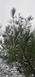 ​幽默笑话搞笑段子100篇（十二）