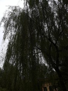 ​幽默笑话搞笑段子100篇（十八）