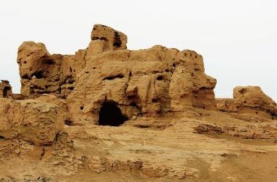 ​狮群里的小母狮长大后会不会离开狮群