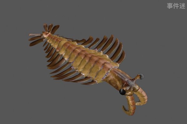 网络图片(侵删) 网络图片(侵删)