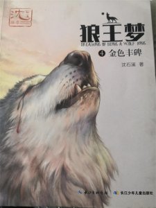 ​共读一本书《狼王梦》手抄报风采展示