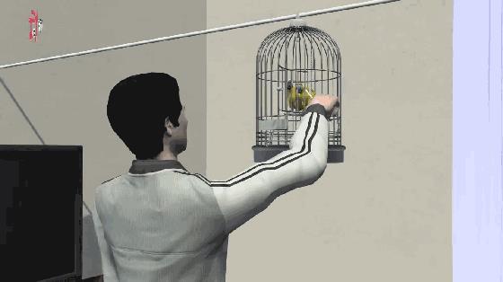 深圳鹦鹉案改判两年，王鹏最早46天后出狱