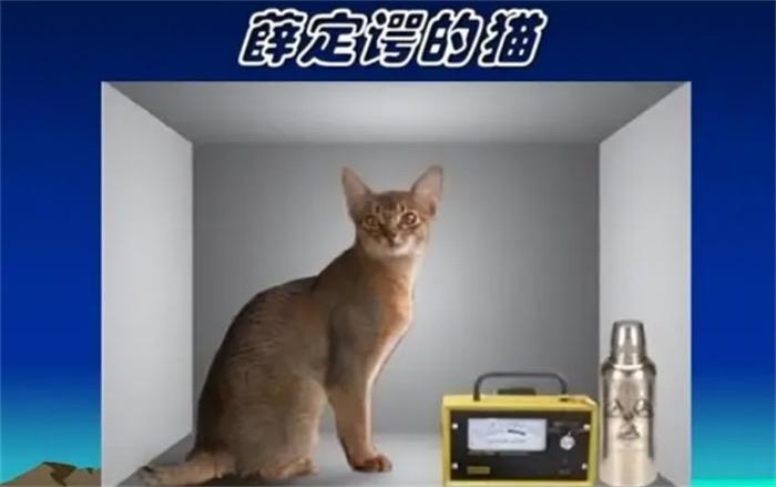 探秘薛定谔的猫是啥意思（理想实验）  3